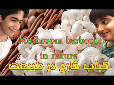 Cooking mushrooms in nature کباب قارچ بچه ها